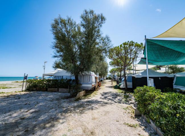 Campeggio vicino al mare con roulotte e alberi sotto un cielo sereno.