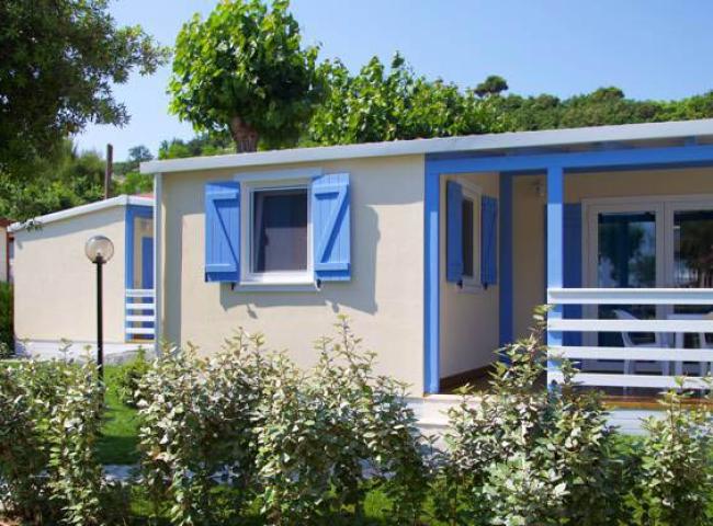 Bungalow con veranda, persiane blu, circondato da piante in un ambiente verde e sereno.